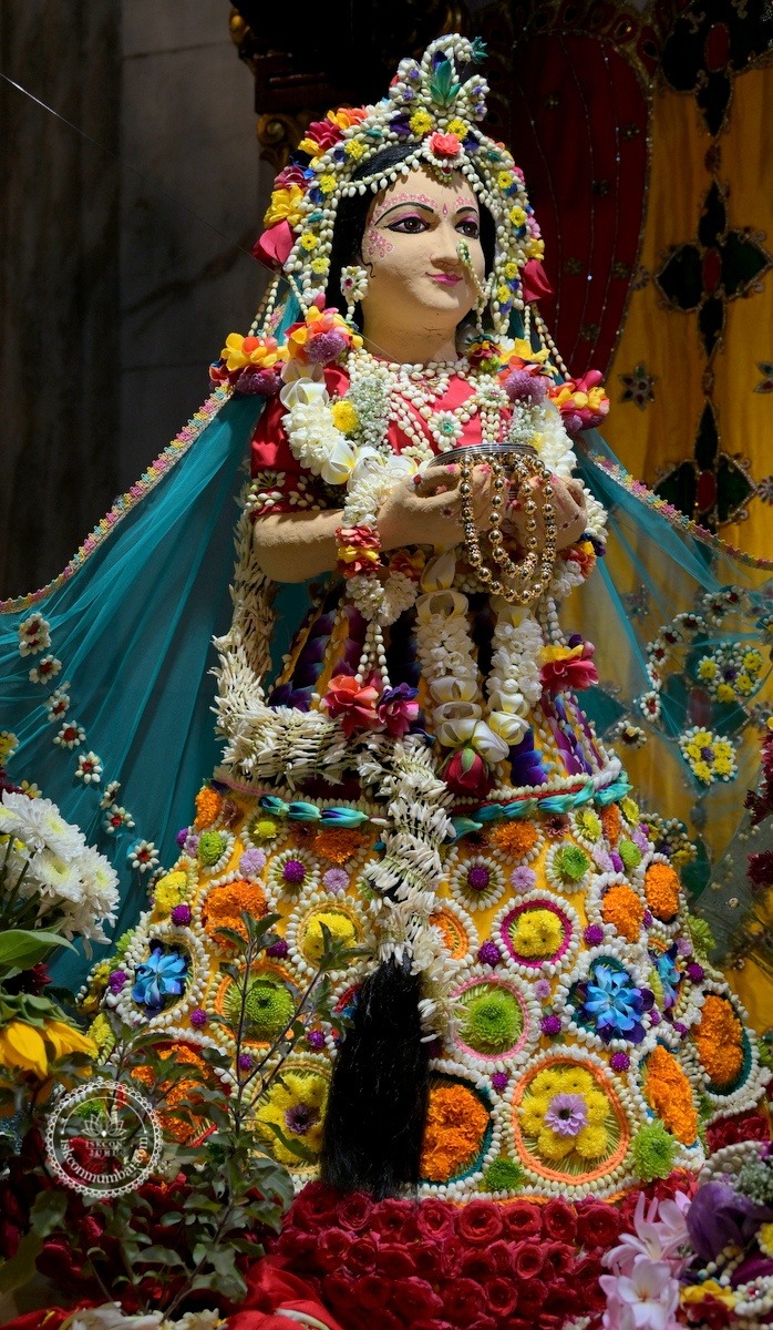 Temple News Image