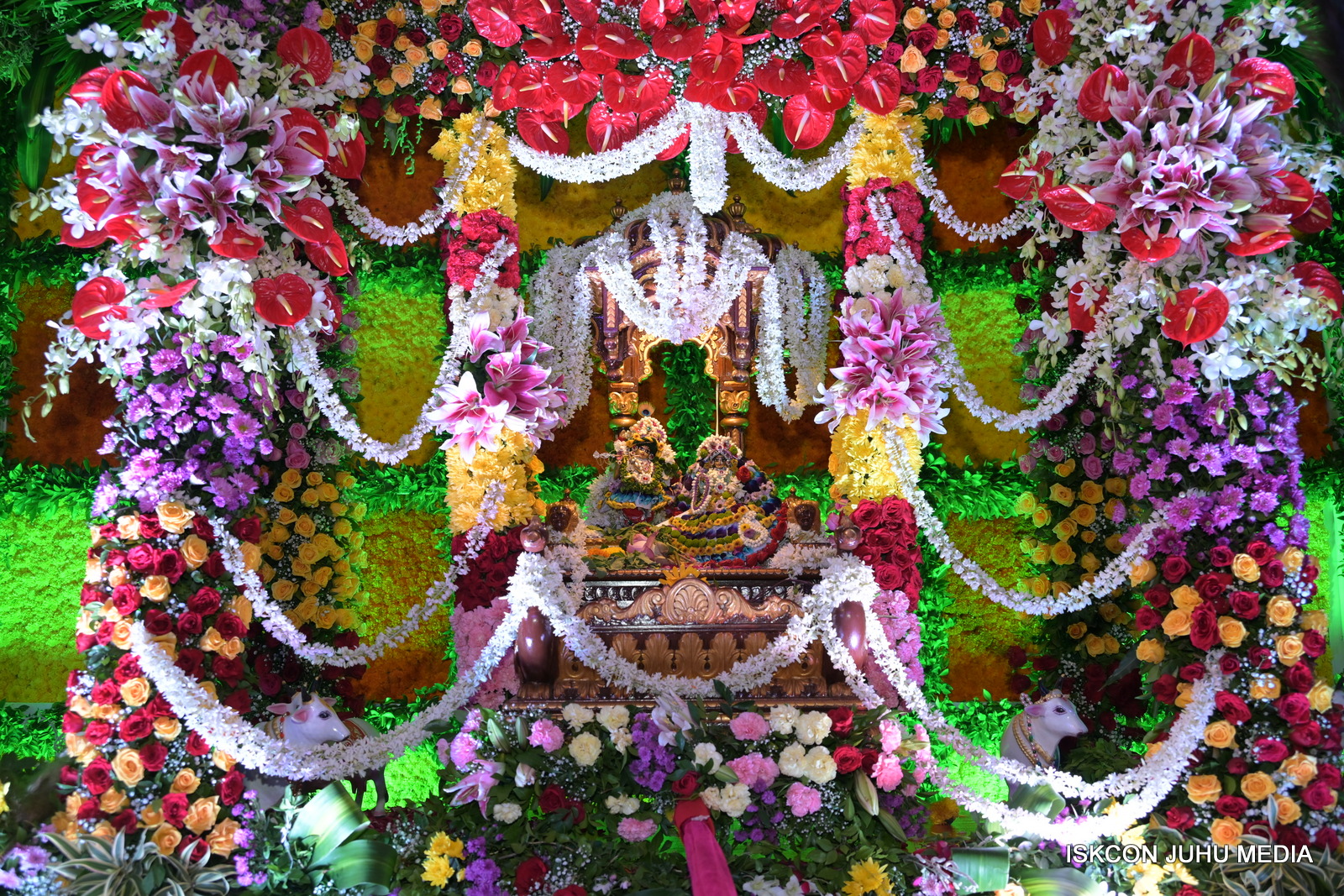 Temple News Image