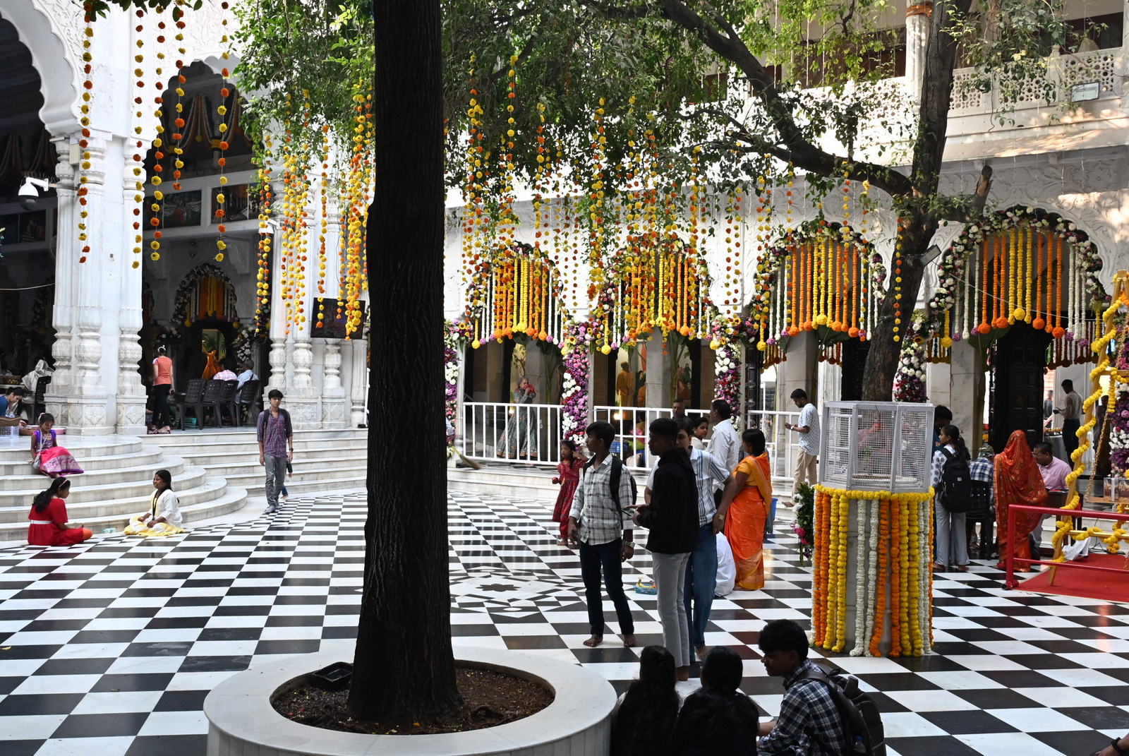 Temple News Image