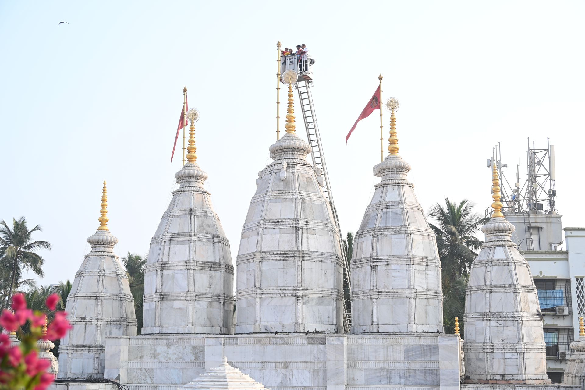 Temple News Image
