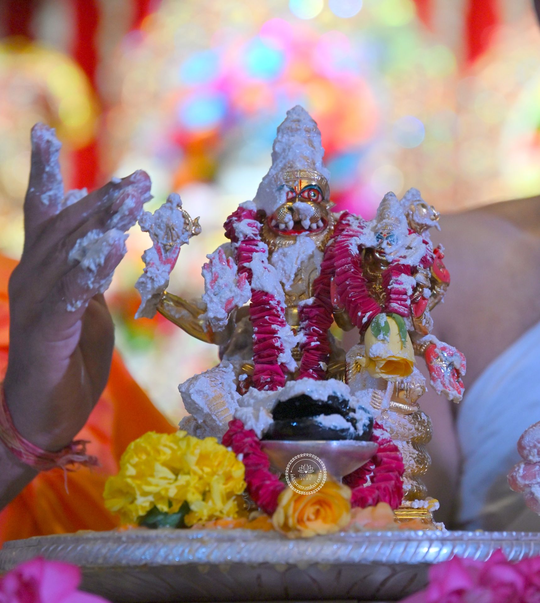 Temple News Image