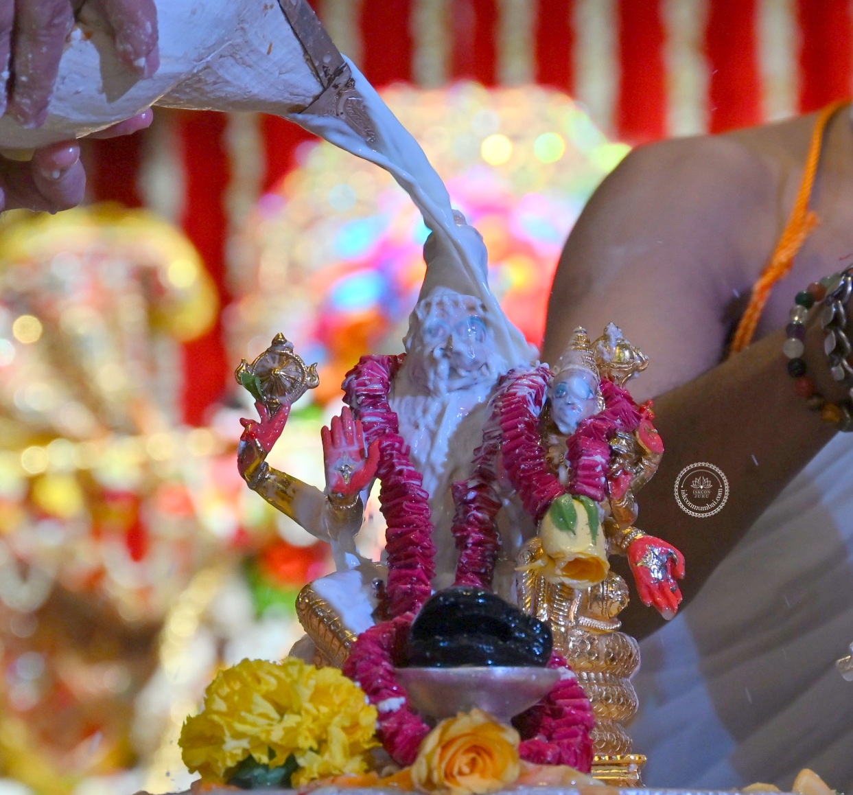 Temple News Image