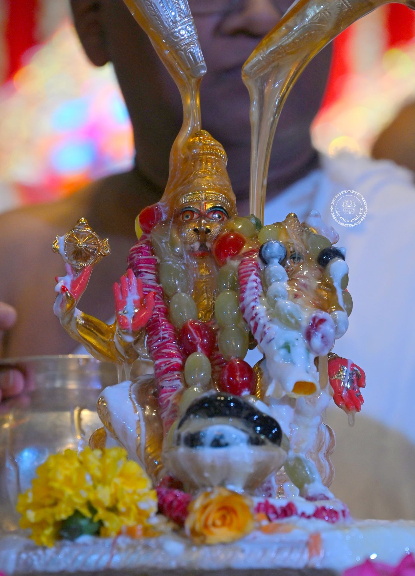 Temple News Image