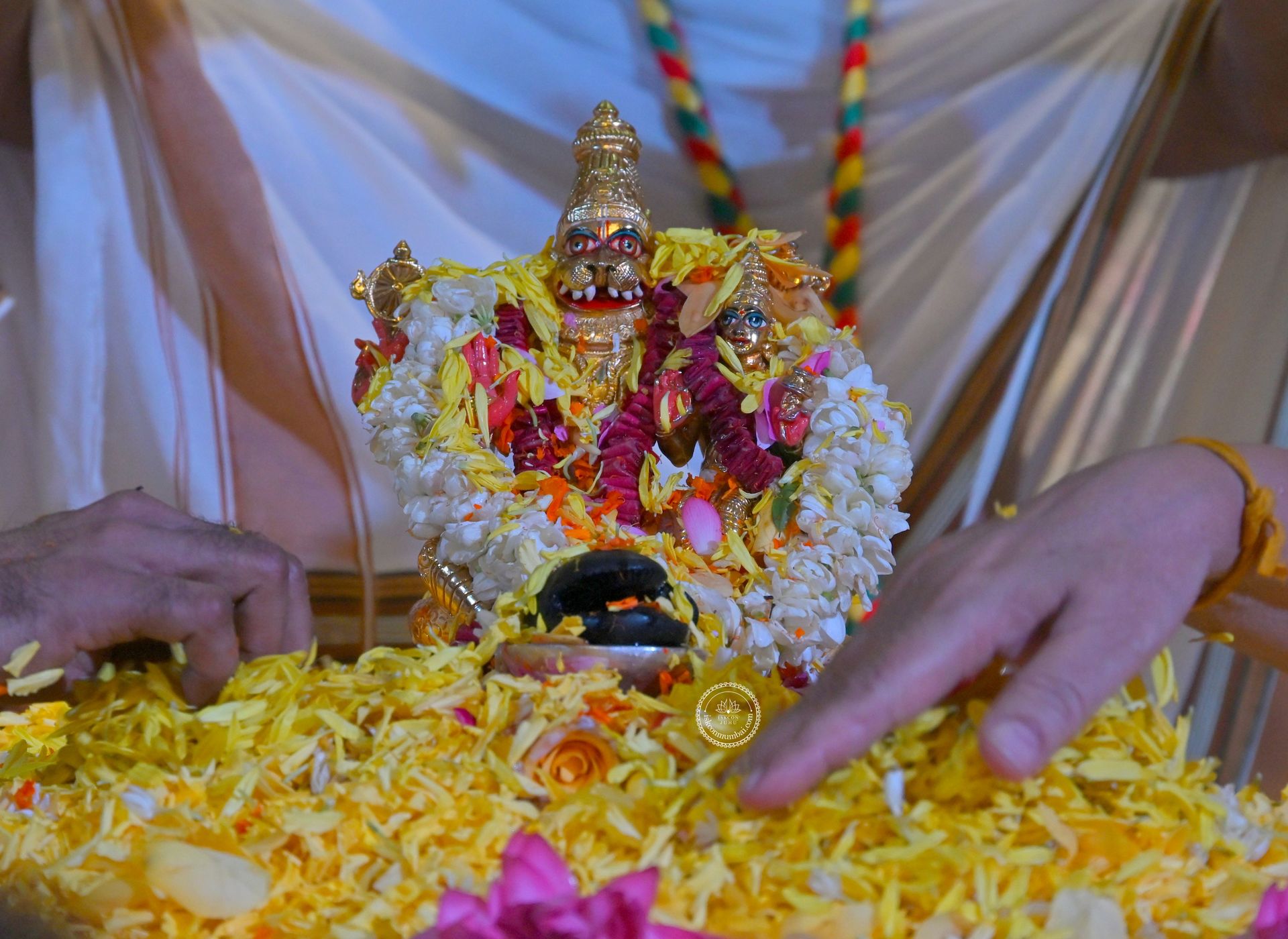 Temple News Image